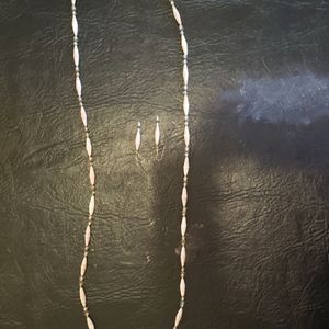 Necklace and earrings set